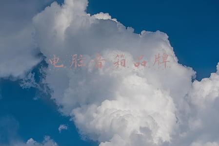 电脑音箱品牌排行榜(哪些电脑专用桌面音箱受欢迎？漫步者，惠威很强势)