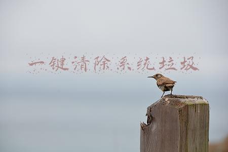 一键清除系统垃圾
