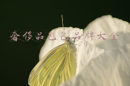 意大利奢侈品包包品牌大全(意大利时尚潮人的爱马仕包包)