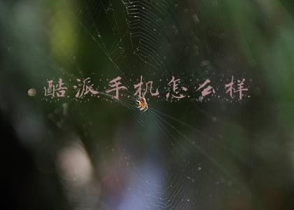 酷派手机怎么样