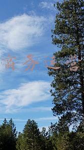 电子商务运营模式