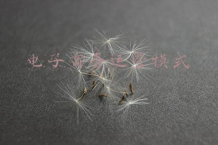电子商务运营模式