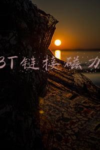 BT链接磁力