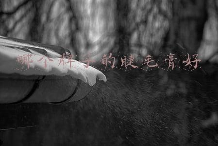 哪个牌子的睫毛膏好