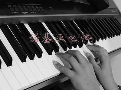 诺基亚电池