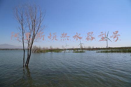 阿里斯顿热水器型号jsq22si8没热水出来(想买燃气热水器的看过来！这些可放心买)