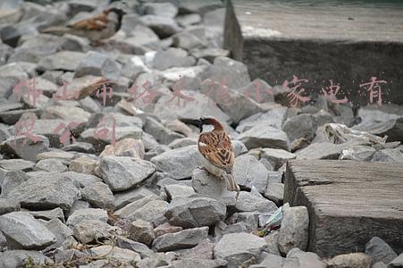 佛山市格来德小家电有限公司