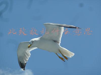 此致敬礼什么意思