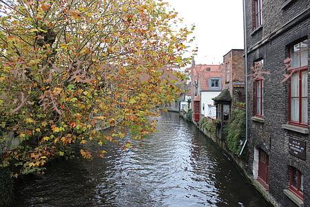 开个宠物店大概需要多少钱