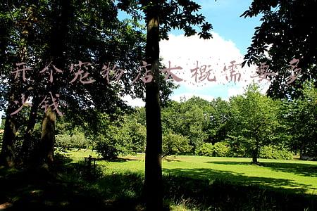 开宠物店的资金要多少？：开宠物网店需要多少钱