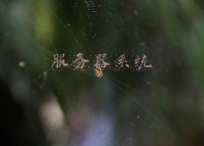 服务器系统linux(什么是 Linux 服务器，你的业务为什么需要它？)