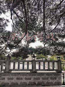 集体游戏