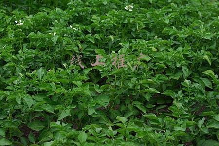 线上推广的渠道和方法(线上推广渠道有哪些？)