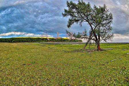 线上推广方案(数字营销的4个模型、8大趋势与6个方法)