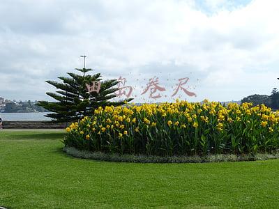 卷尺上为什么有的有中文田岛(工具选得好，墙面安装没烦恼)