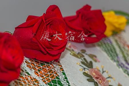 厦大宿舍功率限定(国内各大学宿舍条件大调查！没有对比就没有伤害)