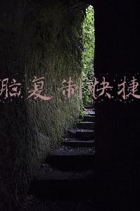 电脑复制快捷键