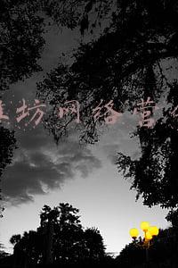潍坊网络营销