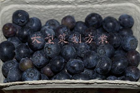 大型策划方案