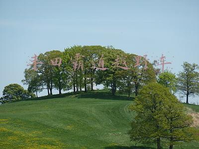 丰田霸道越野车图片(越野车里的另类：丰田霸道)
