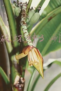 暗黑破坏神3 刷装备
