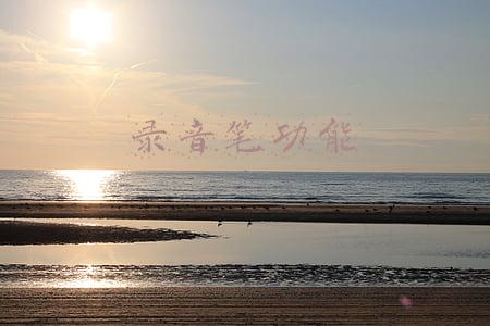 录音笔功能