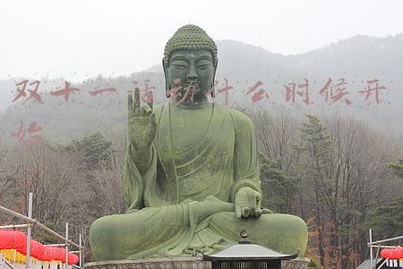 双十一活动什么时候开始