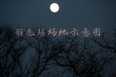 羽毛球场地示意图