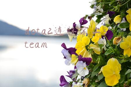 dota2连接不上steam