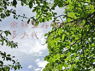 余额宝存1000万一天能有多少钱(中奖得1000万存到支付宝，1天收益多少？)