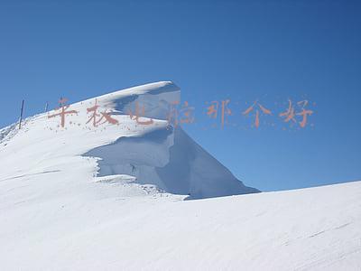 平板电脑那个好