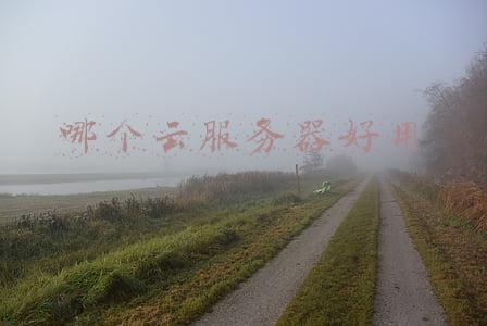 哪家云服务器好(买服务器买阿里云还是腾讯云？我更推荐阿里云)