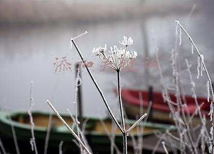 直通车怎么添加关键词(淘宝直通车推广宝贝的关键词原来要这样添加)