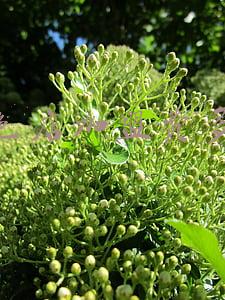 开一家古茗要多少钱？古茗奶茶加盟费要20万是真的吗？：茶千城怎样加盟费多少