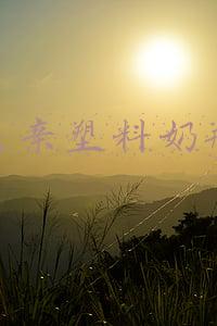 贝亲塑料奶瓶三年后还能用(hegen奶瓶多久换一次奶嘴，mikibobo通用奶嘴来了)