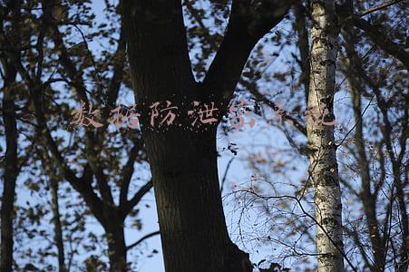 数据防泄密系统