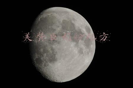 美赞臣奶粉配方