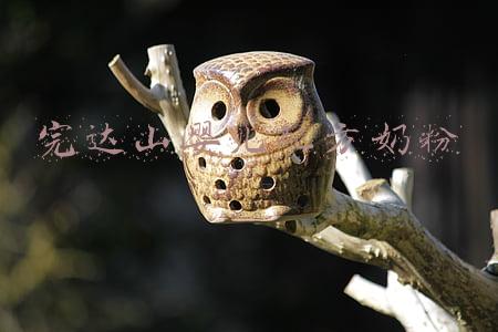 婴儿配方羊奶粉(10款儿童羊奶粉新品“扎堆”2021年，谁的配方最令你心动？)