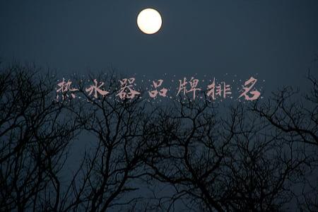 热水器品牌排名
