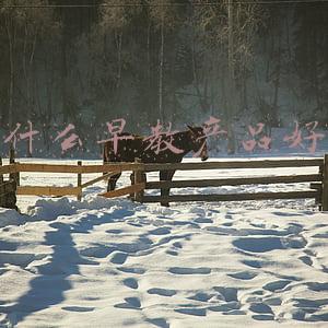 什么早教产品好