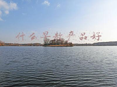 家庭早教系列产品有哪些(2021年十大早教品牌排行榜出炉，火爆全国的三大早教品牌盘点)