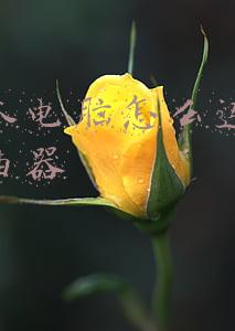 笔记本电脑怎么连接无线路由器