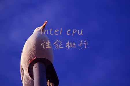 intel cpu 性能排行
