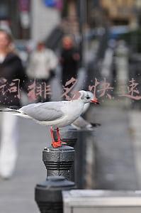 关键词排名快速提升