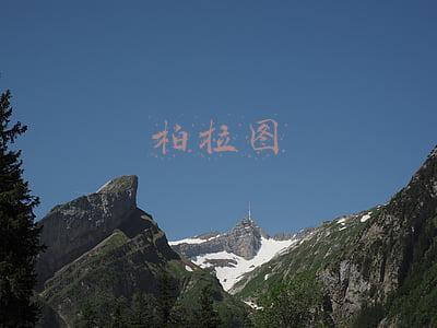 柏拉图爱情(柏拉图式的爱情和肉体无关？)