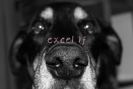excel if