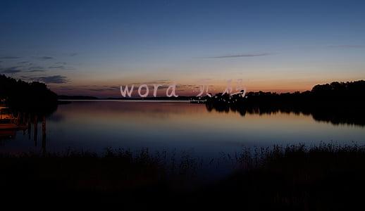 word 页码