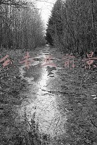 职高什么专业前景好(中专也有好专业：终身职业都在中专的10个专业中，你选择对了吗)