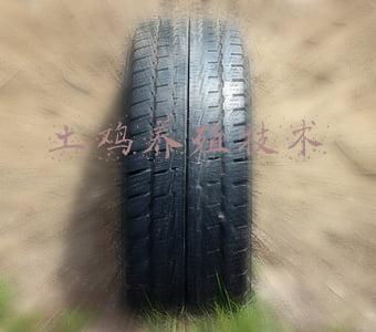 土鸡养殖技术