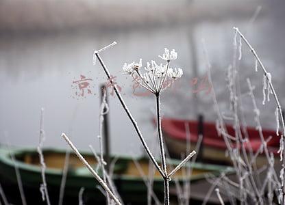 京东包邮吗
